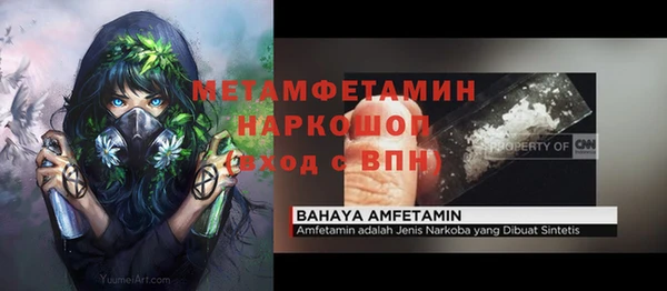 гидра Няндома