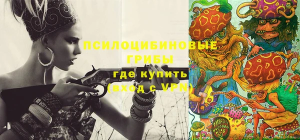 тгк Алексин