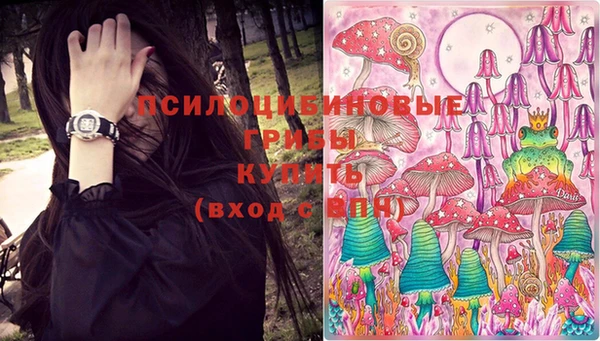 тгк Алексин