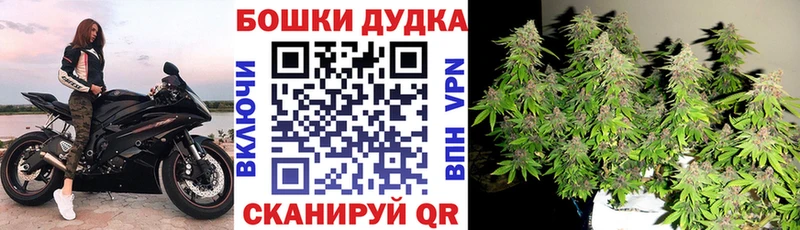 Марихуана SATIVA & INDICA  Мураши 